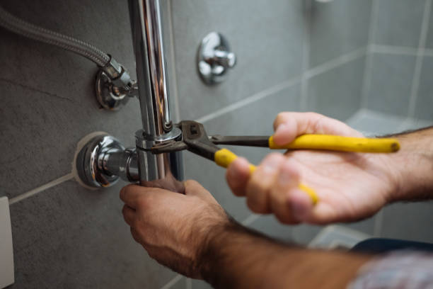 Best Clogged Drain Plumber  in Anderson, SC